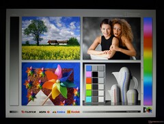 Wide IPS viewing angles. Contrast degrades if viewing from wider angles