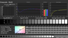 CalMAN: Grayscale (calibrated)