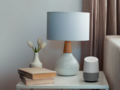 The Nest thermostat shown alongside a Google Home speaker. (Source: Google)