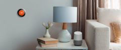 The Nest thermostat shown alongside a Google Home speaker. (Source: Google)