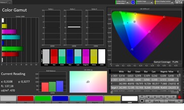 CalMAN AdobeRGB color space