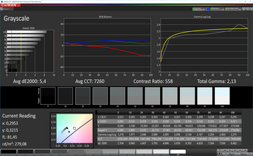 CalMAN Grayscale (sRGB target color space)