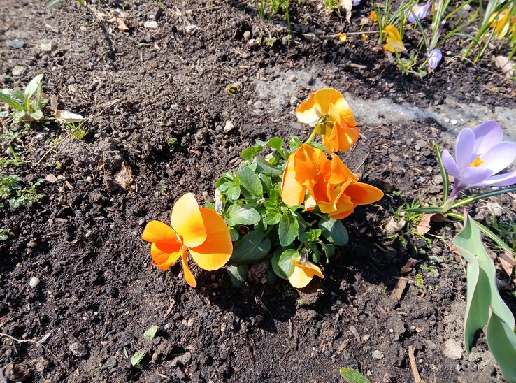 Lenovo Tab K11 Gen 2