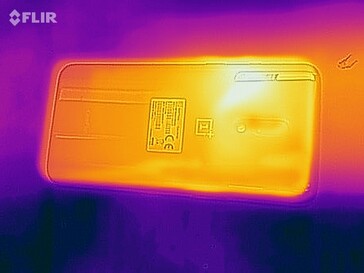 Heat map of the back