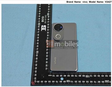 ...rear panel and colors thereof...