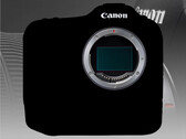 While there have been numerous leaks about the Canon EOS R1, the exact specs are still a mystery. (Image source: Canon - edited)