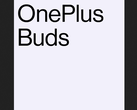 Some official OnePlus Buds branding. (Source: Twitter)