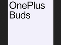 Some official OnePlus Buds branding. (Source: Twitter)