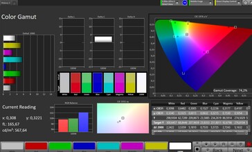 Color space (profile: professional, warm, target color space: P3)