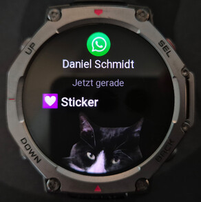 Stickers are displayed on the T-Rex 3.