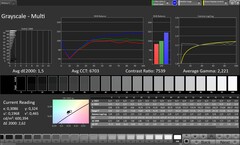 Gray scales (profile: Original Pro, target color space: sRGB)