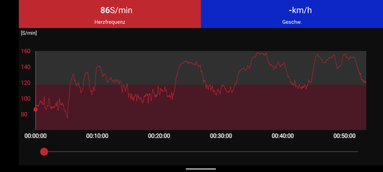 A Polar H10 chest strap serves as the comparison device for heart rate measurement.