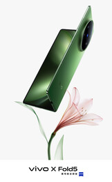 (Image source: Vivo)
