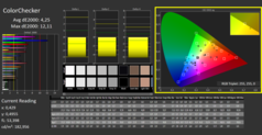 CalMan ColorChecker calibrated