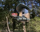 Ready for birds