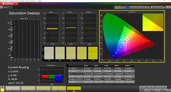 CalMAN Saturation (sRGB profile, sRGB target color space)