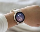 A new beta update has arrived for the Garmin Vivoactive 5 (above) and Venu 3 wearables. (Image source: Garmin)