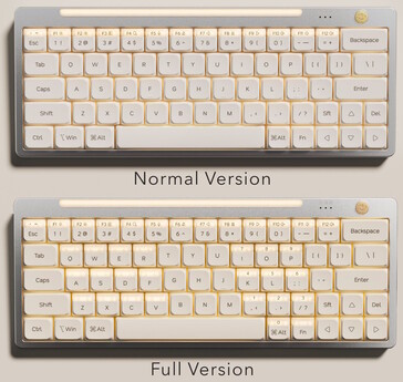 The Hesper64(100) dual-action keyboard comes in two layouts. (Image source: Nics Tek)