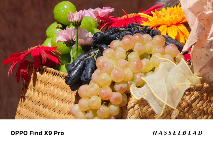 (Image source: Oppo)