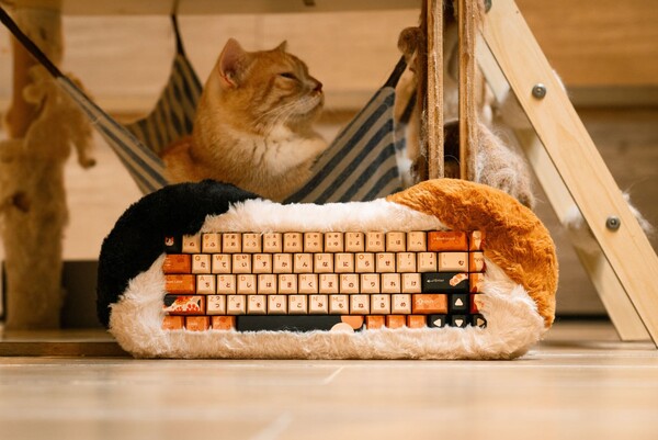 The Petbrick 65 has cat-themed key caps. (Image source: Dry Studio)