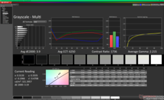 Grayscale before calibration
