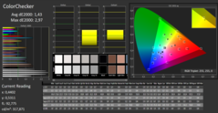 CalMAN - ColorChecker (calibrated)