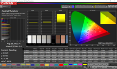 ColorChecker (target color space P3) – measured from a 45-degree angle