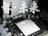 The BR100 appears to be as large as Nvidia's A100. (Image Source: EETrend)