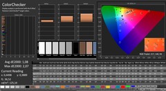 CalMAN: ColorChecker (calibrated)