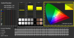 CalMAN - ColorChecker (calibrated)