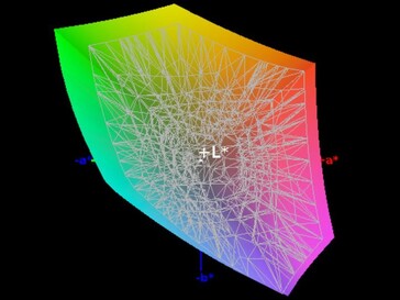 Color space coverage (sRGB) - 100 percent