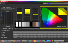 CalMAN ColorChecker calibrated (OLED)