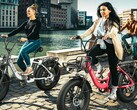 The ENGWE L20 e-bike has up to 90 miles (~140 km) of assistance range. (Image source: ENGWE)
