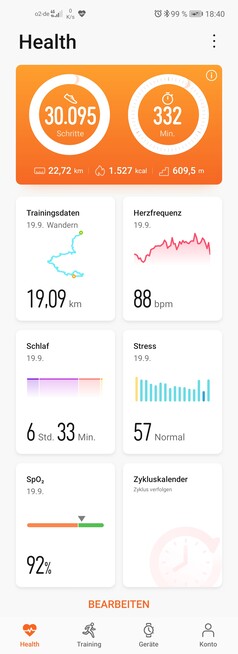 Honor Watch GS Pro Smartwatch Review - NotebookCheck.net Reviews