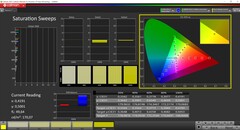 CalMAN saturation (calibrated)