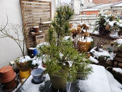 Xiaomi 17 Ultra: Sample photo