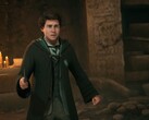 Fans fear that their character in Hogwarts Legacy 2 could be overshadowed by Harry Potter.