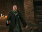 Fans fear that their character in Hogwarts Legacy 2 could be overshadowed by Harry Potter.