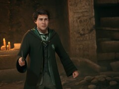 Fans fear that their character in Hogwarts Legacy 2 could be overshadowed by Harry Potter.