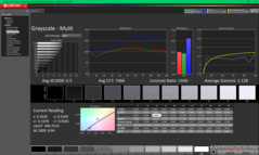 Grayscale before calibration