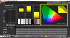 CalMAN ColorChecker (profile: DisplayP3, target color space: P3)