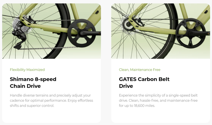 Drive options (Image Source: Tenways)