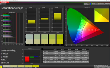 CalMAN: Colour Saturation