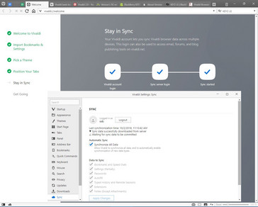 Vivaldi 2.0 Sync initial setup and settings screen (Source: Own)