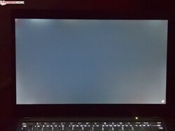 Almost no backlight bleeding (shown enhanced here)