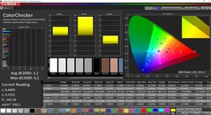 CalMAN ColorChecker (target color space P3)