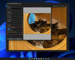 Windows 10 22H2 will get Windows 11's Universal Print feature. (Image Source: Microsoft)