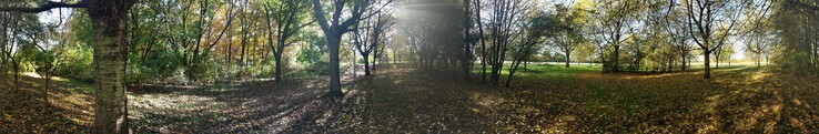 The Pixel XL takes good panorama photos.