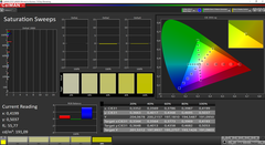 CalMAN Saturation Sweeps calibrated