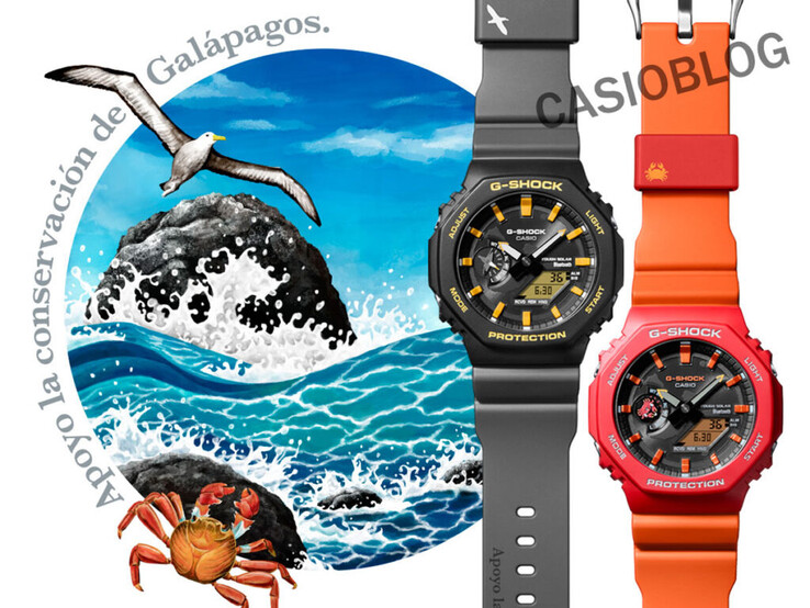 (Image source: Casioblog)